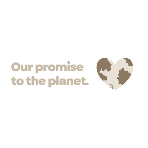 Our promise to the planet